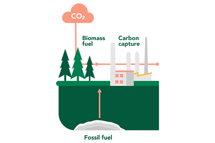 A model that shows low carbon emissions.