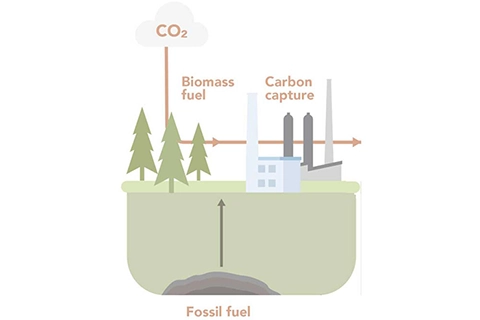 A model that shows low carbon emissions.