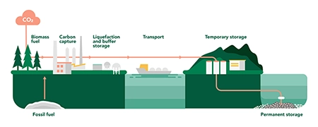 Illustration of the carbon capture and storage process.