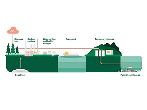 Illustration of the carbon capture and storage process.